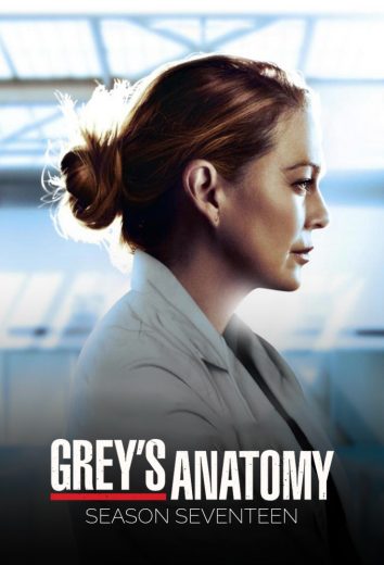 مسلسل Grey’s Anatomy موسم 17 الحلقة 1 مترجمة