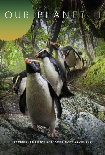 مسلسل Our Planet الموسم الثاني الحلقة 4 مترجمة